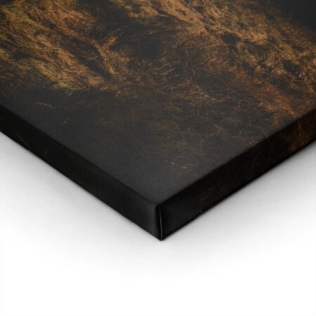 Πίνακας σε Καμβά RUSTIC FARMHOUSE MOUNTAIN PATH 2 -  Sticky 1