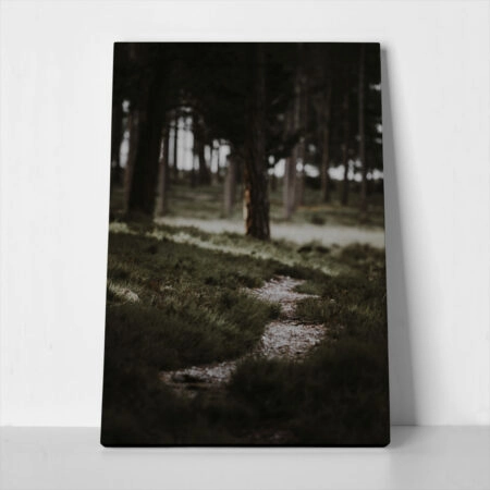Πίνακας σε Καμβά RUSTIC FARMHOUSE MOUNTAIN PATH - 