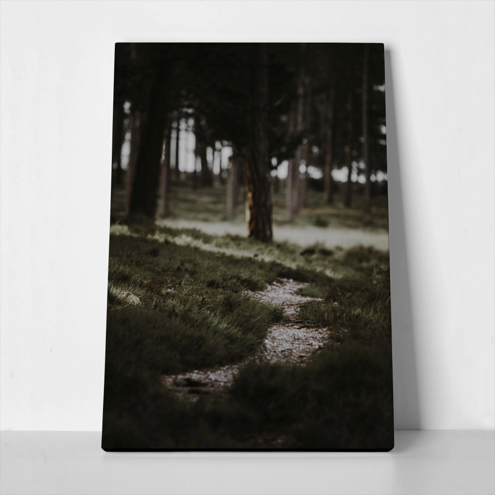 Πίνακας σε Καμβά RUSTIC FARMHOUSE MOUNTAIN PATH