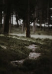 Πίνακας σε Καμβά RUSTIC FARMHOUSE MOUNTAIN PATH
