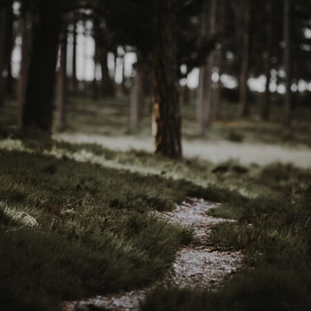Πίνακας σε Καμβά RUSTIC FARMHOUSE MOUNTAIN PATH -  Sticky 5