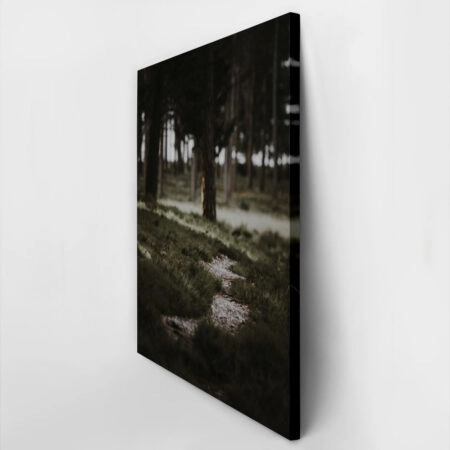 Πίνακας σε Καμβά RUSTIC FARMHOUSE MOUNTAIN PATH -  Sticky 2