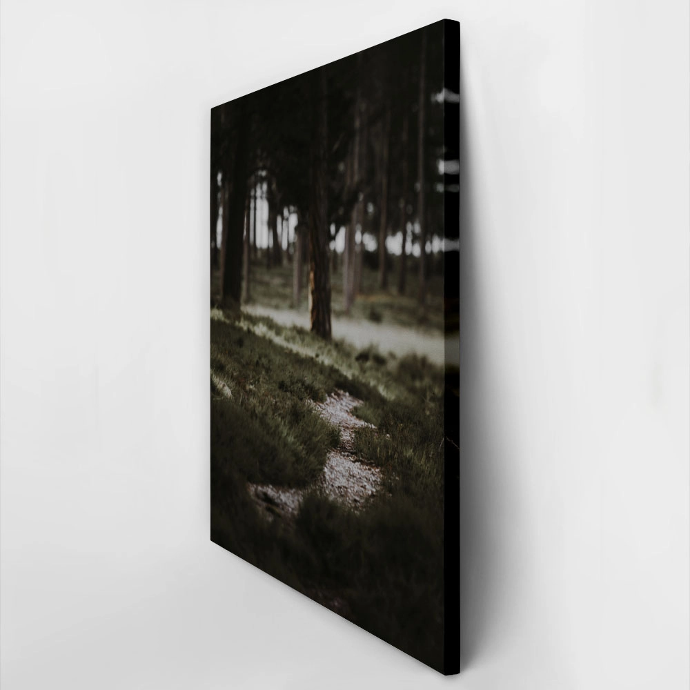Πίνακας σε Καμβά RUSTIC FARMHOUSE MOUNTAIN PATH