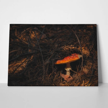 Πίνακας σε Καμβά RUSTIC FARMHOUSE MUSHROOM 2 - 