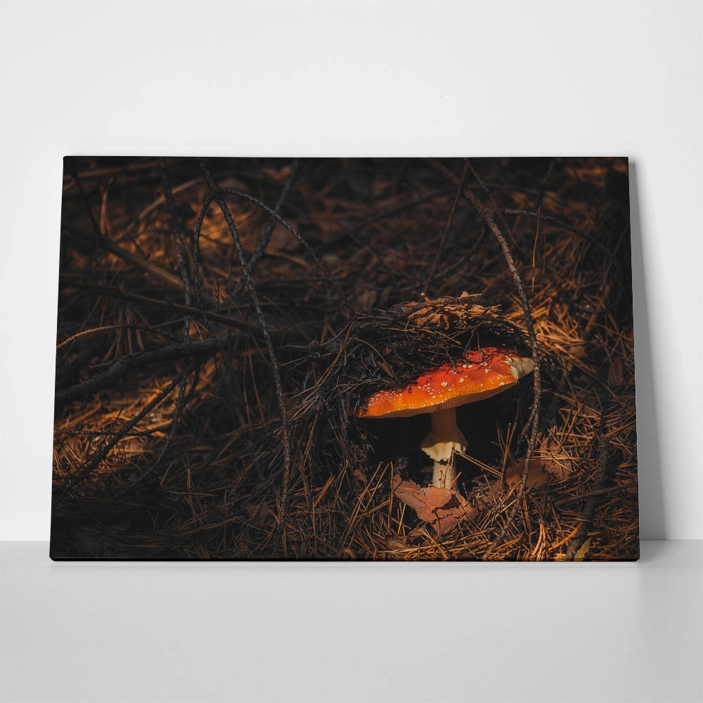 Πίνακας σε Καμβά RUSTIC FARMHOUSE MUSHROOM 2