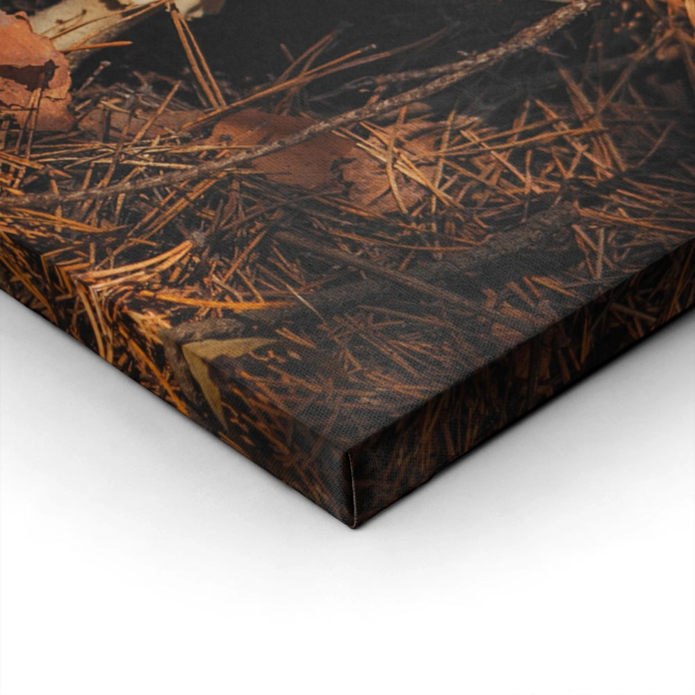 Πίνακας σε Καμβά RUSTIC FARMHOUSE MUSHROOM 2