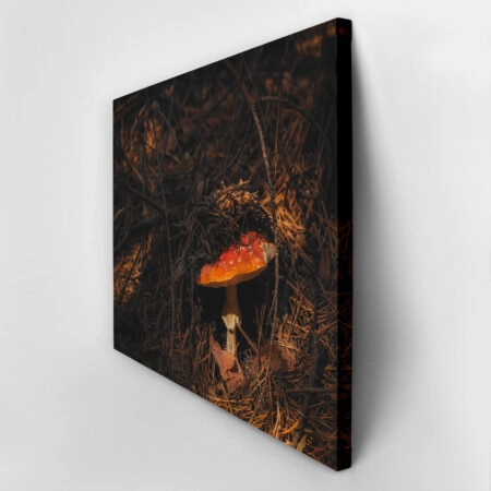 Πίνακας σε Καμβά RUSTIC FARMHOUSE MUSHROOM 2 -  Sticky 2