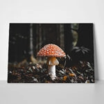 Πίνακας σε Καμβά RUSTIC FARMHOUSE MUSHROOM