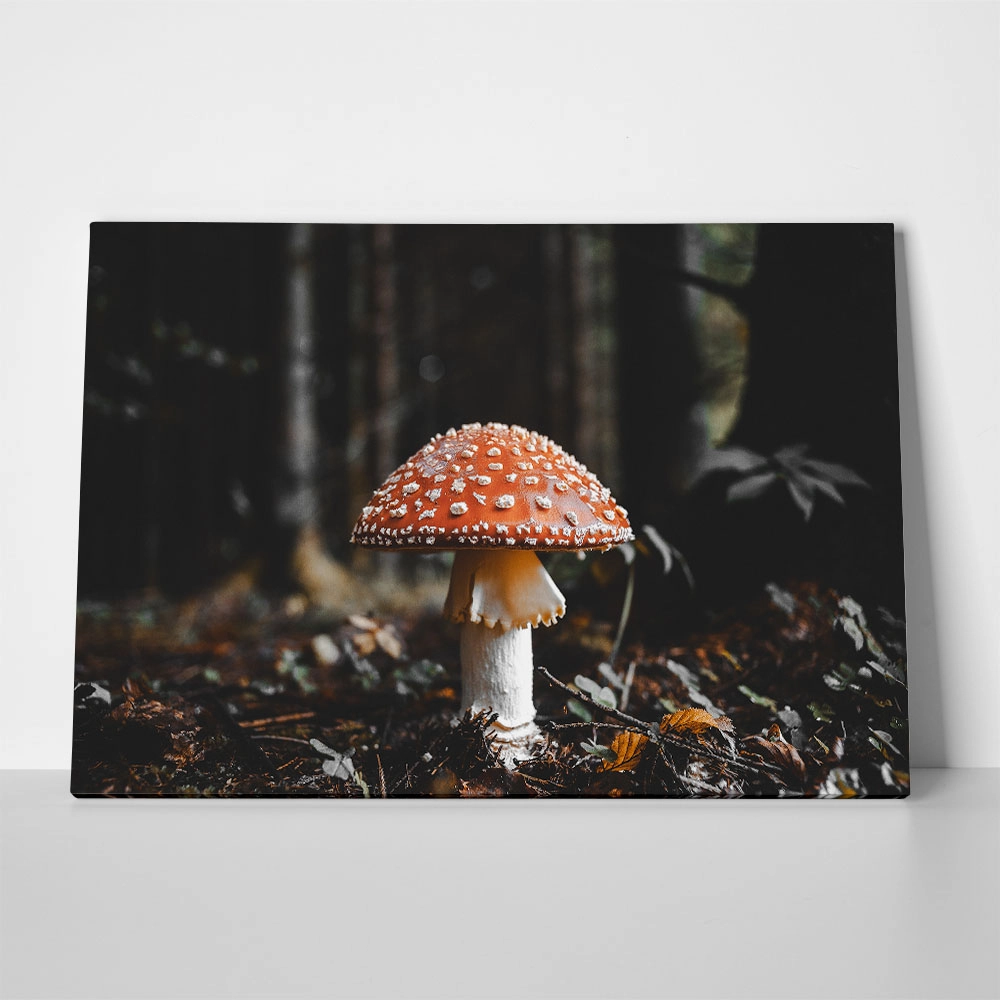 Πίνακας σε Καμβά RUSTIC FARMHOUSE MUSHROOM