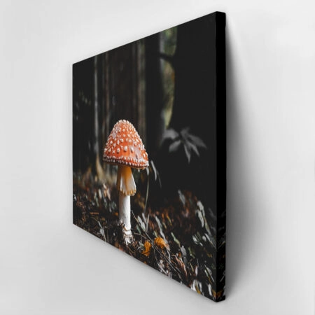 Πίνακας σε Καμβά RUSTIC FARMHOUSE MUSHROOM -  Sticky 2
