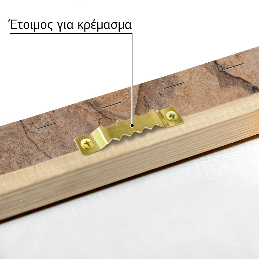 Πίνακας σε Καμβά RUSTIC FARMHOUSE OLD CARRIAGE 2