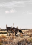 Πίνακας σε Καμβά RUSTIC FARMHOUSE OLD CARRIAGE