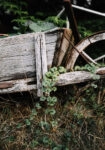 Πίνακας σε Καμβά RUSTIC FARMHOUSE OLD CART