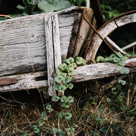 Πίνακας σε Καμβά RUSTIC FARMHOUSE OLD CART -  Sticky 5