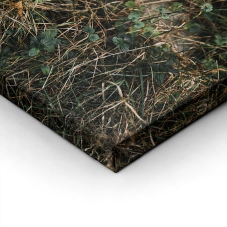 Πίνακας σε Καμβά RUSTIC FARMHOUSE OLD CART -  Sticky 1