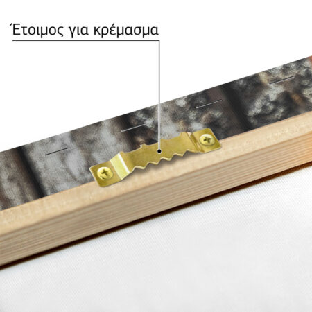 Πίνακας σε Καμβά RUSTIC FARMHOUSE OLD CELAR -  Sticky 4