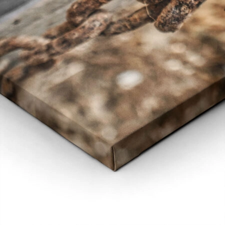 Πίνακας σε Καμβά RUSTIC FARMHOUSE OLD CHAIN -  Sticky 1
