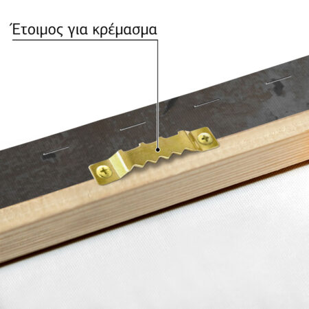 Πίνακας σε Καμβά RUSTIC FARMHOUSE OLD DOOR -  Sticky 4