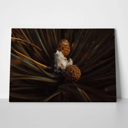 Πίνακας σε Καμβά RUSTIC FARMHOUSE PINE CONES 2 - 