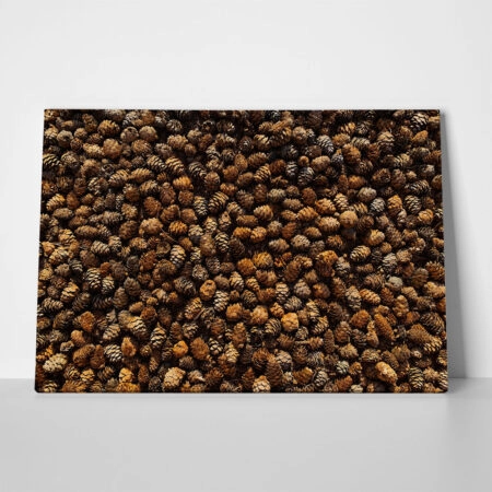 Πίνακας σε Καμβά RUSTIC FARMHOUSE PINE CONES - 