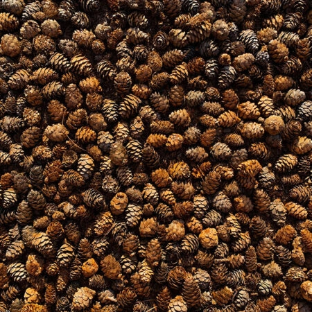 Πίνακας σε Καμβά RUSTIC FARMHOUSE PINE CONES -  Sticky 5