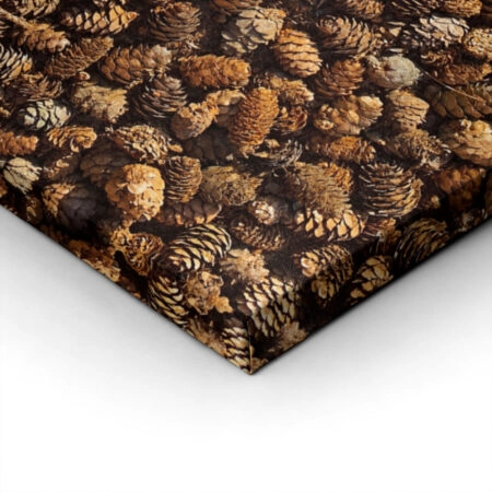 Πίνακας σε Καμβά RUSTIC FARMHOUSE PINE CONES -  Sticky 1