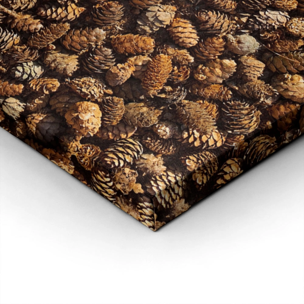 Πίνακας σε Καμβά RUSTIC FARMHOUSE PINE CONES