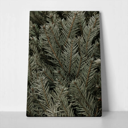 Πίνακας σε Καμβά RUSTIC FARMHOUSE PINE LEAVES - 