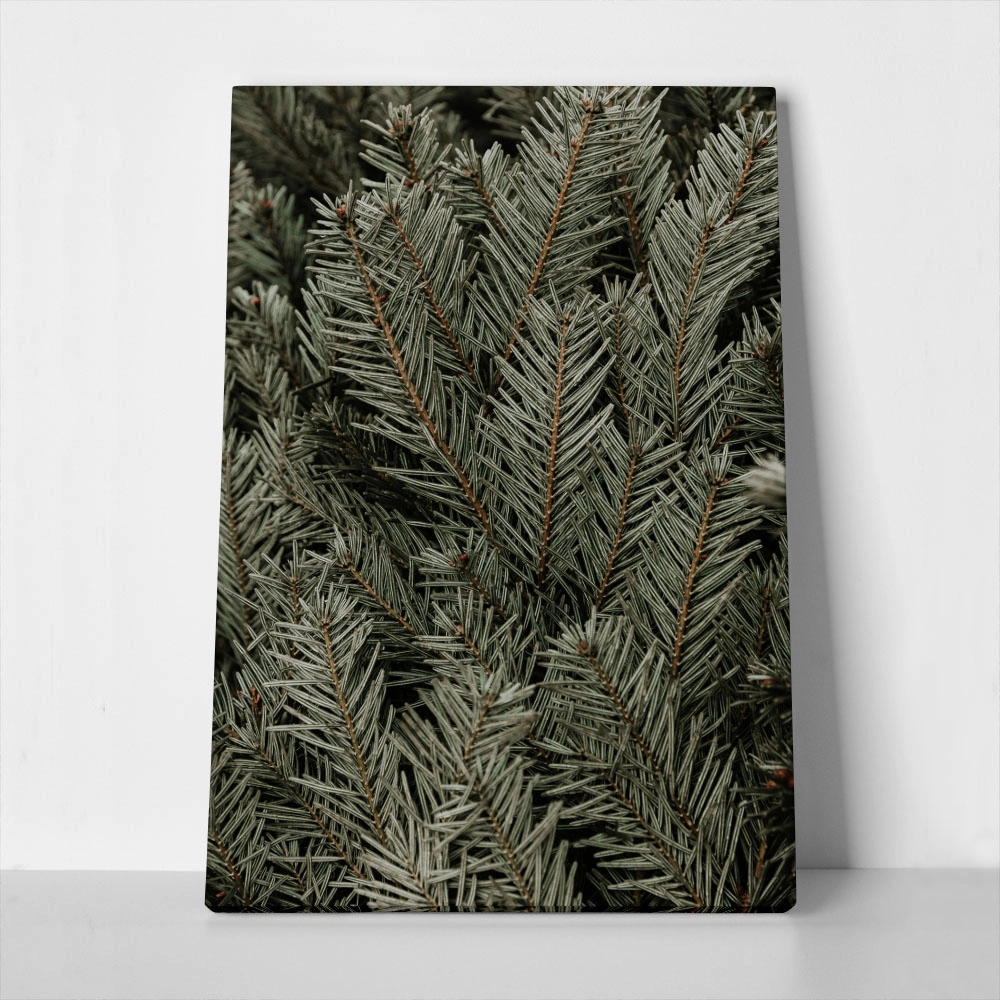 Πίνακας σε Καμβά RUSTIC FARMHOUSE PINE LEAVES