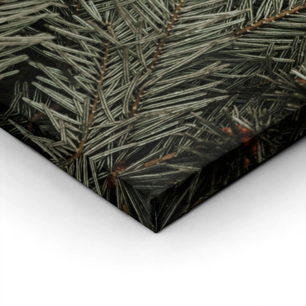 Πίνακας σε Καμβά RUSTIC FARMHOUSE PINE LEAVES