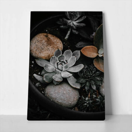 Πίνακας σε Καμβά RUSTIC FARMHOUSE PLANTS - 