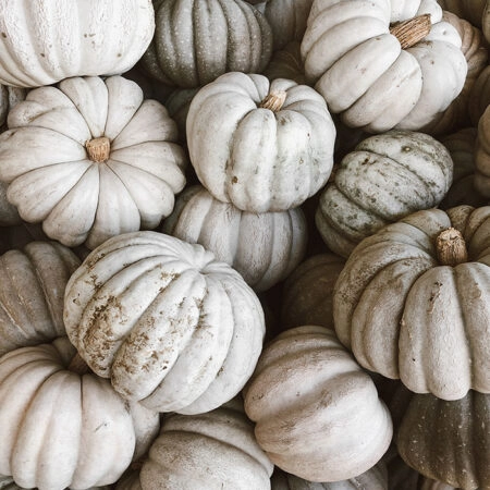 Πίνακας σε Καμβά RUSTIC FARMHOUSE PUMPKINS 2 -  Sticky 5