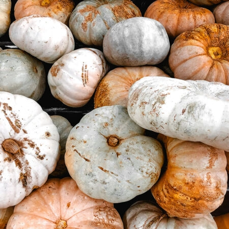 Πίνακας σε Καμβά RUSTIC FARMHOUSE PUMPKINS 3 -  Sticky 5