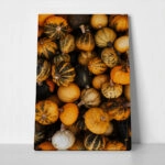 Πίνακας σε Καμβά RUSTIC FARMHOUSE PUMPKINS 4