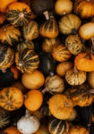 Πίνακας σε Καμβά RUSTIC FARMHOUSE PUMPKINS 4