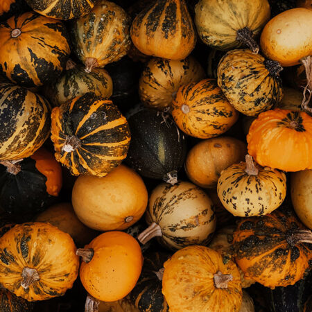 Πίνακας σε Καμβά RUSTIC FARMHOUSE PUMPKINS 4 -  Sticky 5