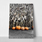 Πίνακας σε Καμβά RUSTIC FARMHOUSE PUMPKINS 5