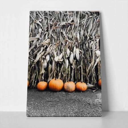 Πίνακας σε Καμβά RUSTIC FARMHOUSE PUMPKINS 5 - 