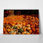 Πίνακας σε Καμβά RUSTIC FARMHOUSE PUMPKINS 6