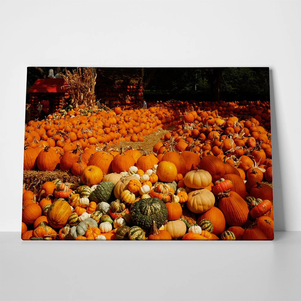 Πίνακας σε Καμβά RUSTIC FARMHOUSE PUMPKINS 6