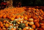 Πίνακας σε Καμβά RUSTIC FARMHOUSE PUMPKINS 6