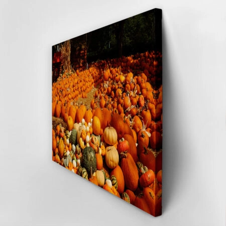 Πίνακας σε Καμβά RUSTIC FARMHOUSE PUMPKINS 6 -  Sticky 2