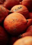 Πίνακας σε Καμβά RUSTIC FARMHOUSE PUMPKINS