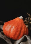 Πίνακας σε Καμβά RUSTIC FARMHOUSE PUMPKIN