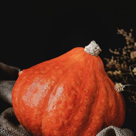 Πίνακας σε Καμβά RUSTIC FARMHOUSE PUMPKIN -  Sticky 5