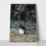 Πίνακας σε Καμβά RUSTIC FARMHOUSE RABBIT 2