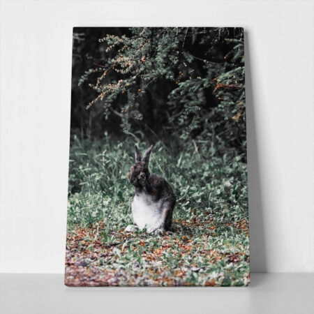 Πίνακας σε Καμβά RUSTIC FARMHOUSE RABBIT 2 - 