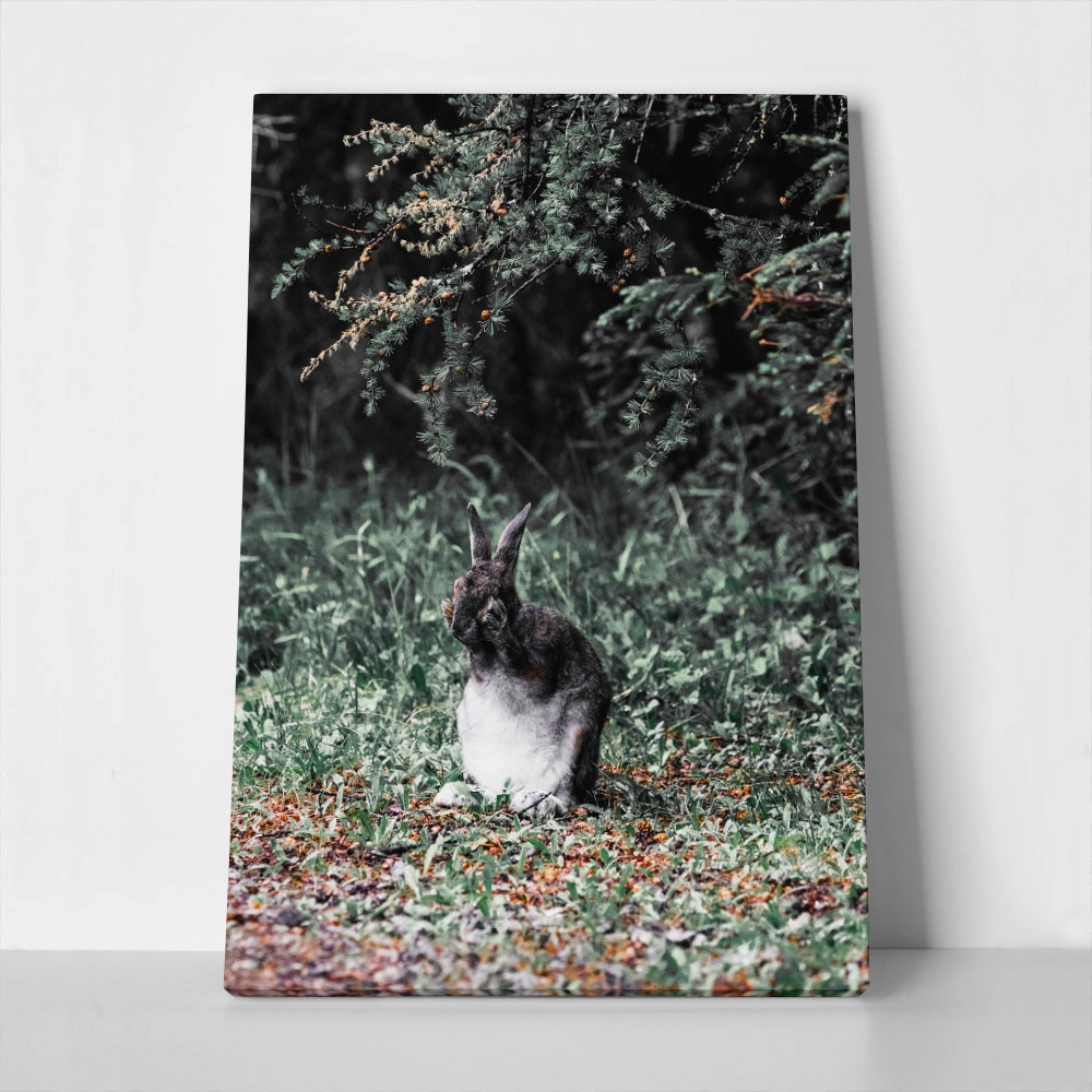 Πίνακας σε Καμβά RUSTIC FARMHOUSE RABBIT 2