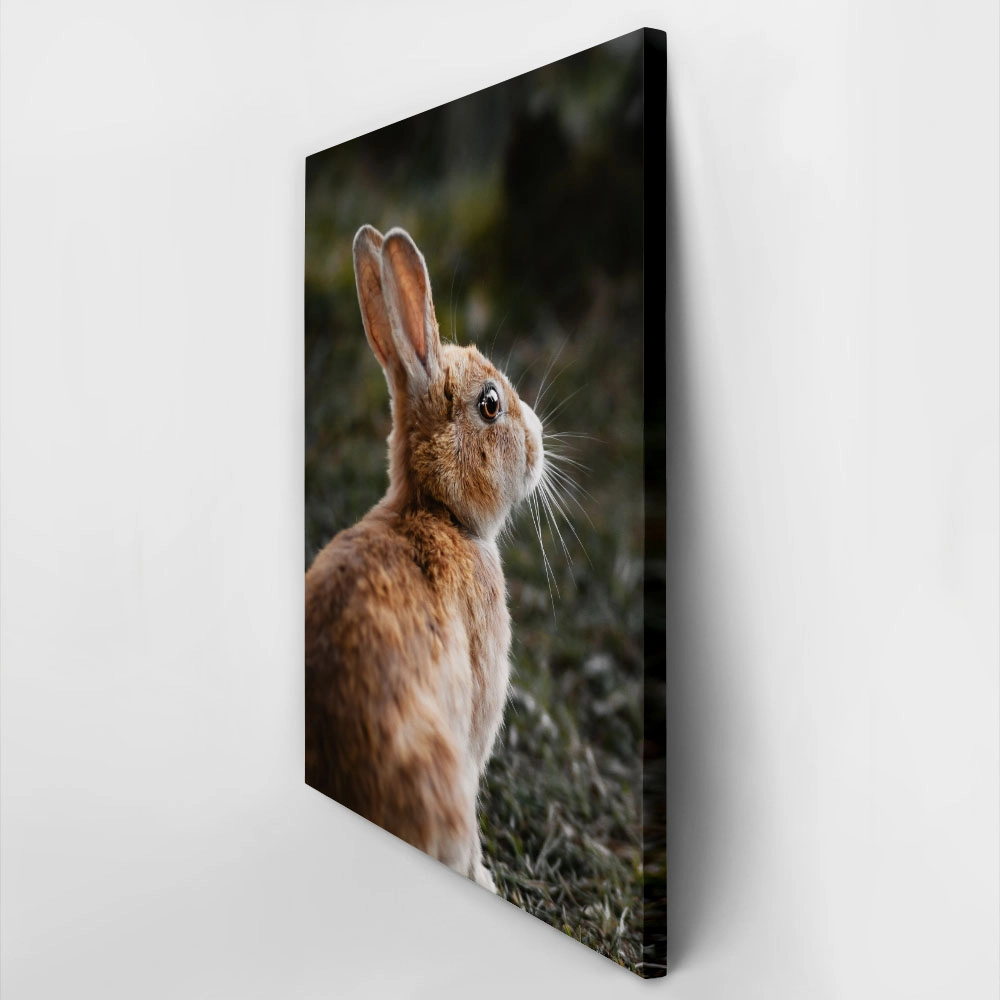 Πίνακας σε Καμβά RUSTIC FARMHOUSE RABBIT 3
