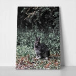Πίνακας σε Καμβά RUSTIC FARMHOUSE RABBIT